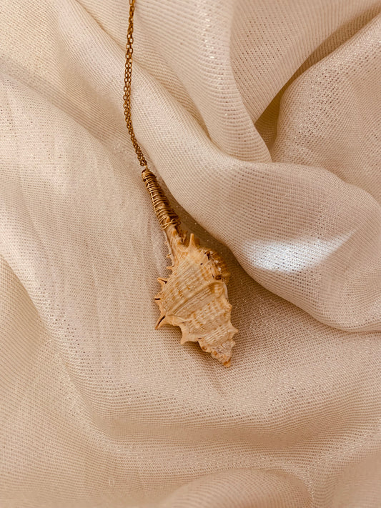 Concha Sea Necklace